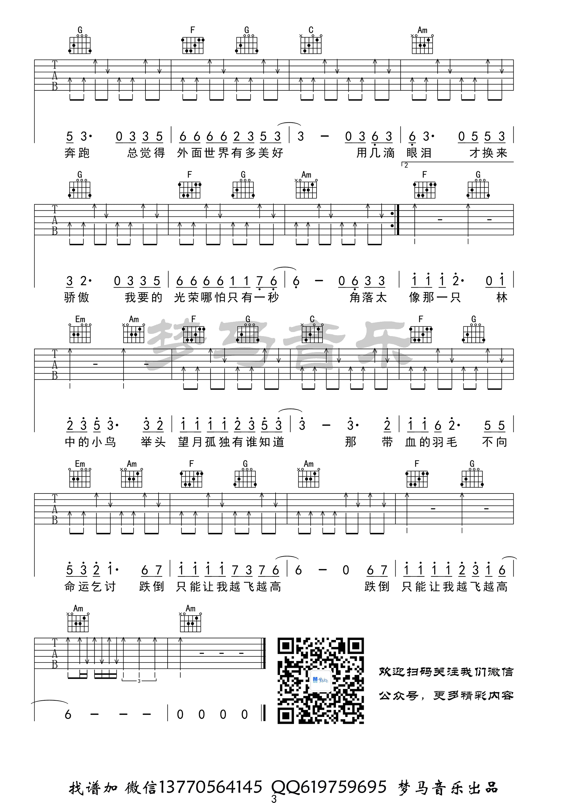 林中鸟吉他谱_3