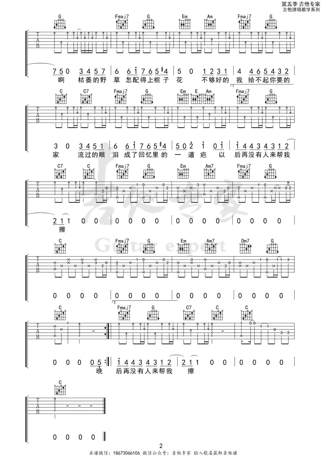 野草与栀子花吉他谱_2