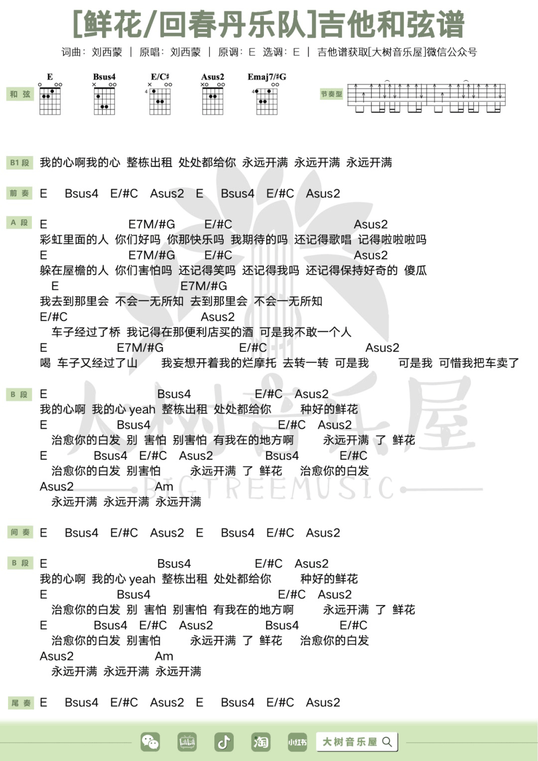 鲜花吉他谱_6