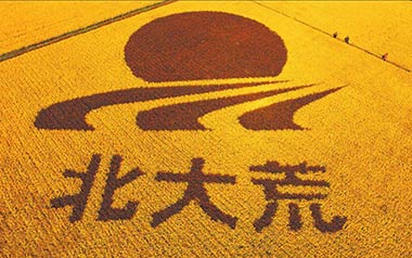 北大荒吉他谱