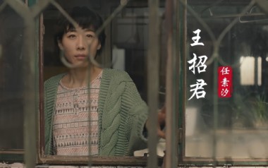 王招君吉他谱_封面