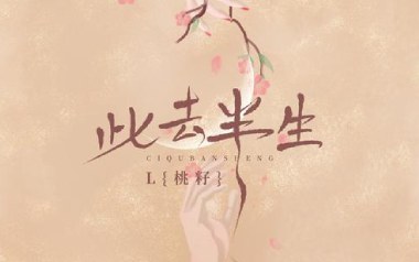 此去半生吉他谱_封面
