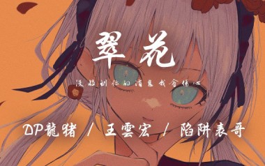 翠花吉他谱_封面