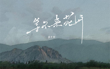 等不来花开吉他谱_封面