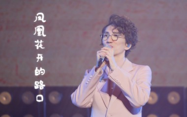 凤凰花开的路口吉他谱