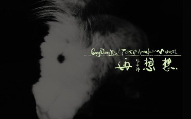 谢谢你吉他谱_封面