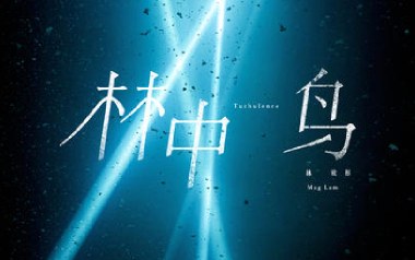 林中鸟吉他谱_封面
