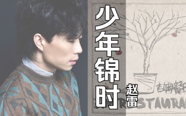 少年锦时吉他谱_封面