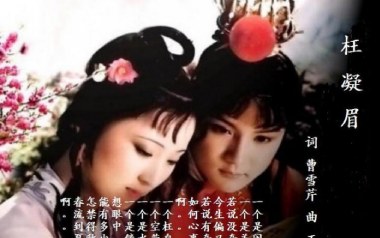 枉凝眉吉他谱_封面