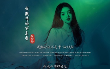 我期待的不是雪吉他谱_封面