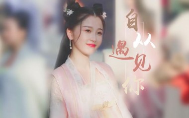 自从遇见你吉他谱_封面