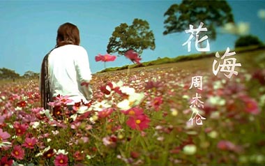 花海指弹吉他谱_封面