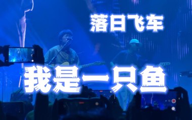 我是一只鱼吉他谱_封面