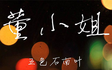董小姐吉他谱_封面