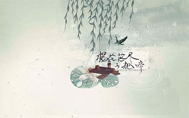 杨花落尽子规啼吉他谱_封面