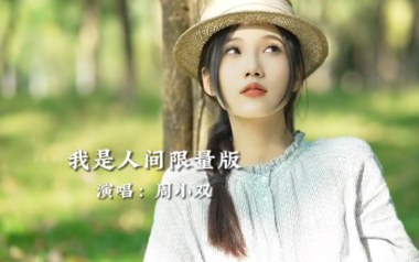 我是人间限量版吉他谱_封面
