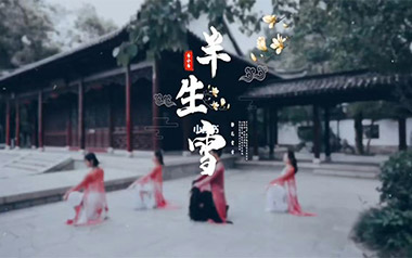 半生雪指弹吉他谱_封面