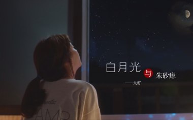 白月光与朱砂痣指弹指弹谱吉他谱