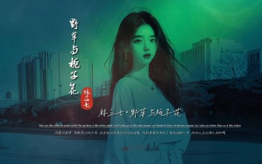 野草与栀子花吉他谱