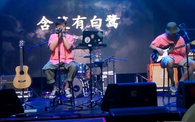 含笑有白鹭吉他谱