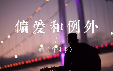 偏爱和例外吉他谱