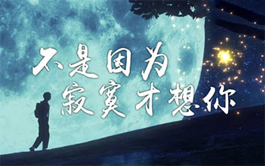 不是因为寂寞才想你吉他谱_封面
