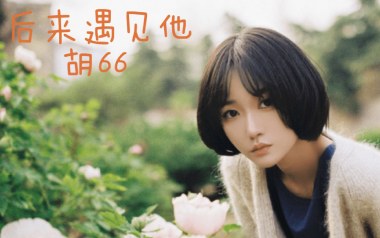 后来遇见他吉他谱