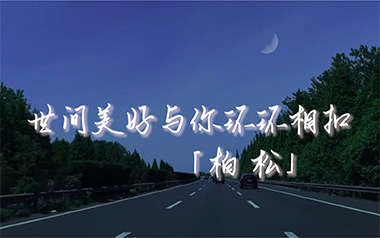 世间美好与你环环相扣吉他谱