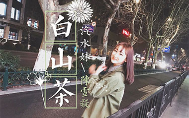 白山茶吉他谱_封面