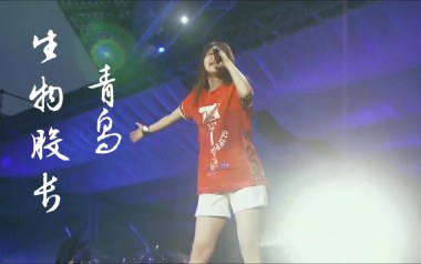 青鸟指弹吉他谱_封面