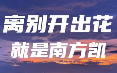 离别开出花吉他谱