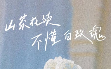 山茶花读不懂白玫瑰吉他谱_封面