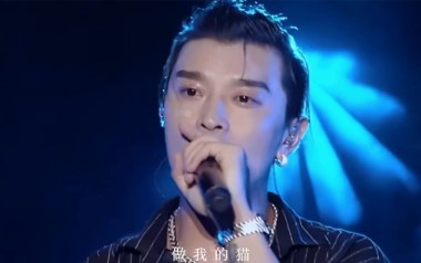 做我的猫吉他谱