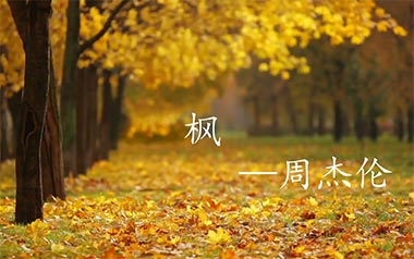 枫吉他谱_封面