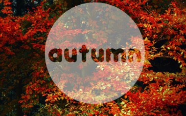 Autumn Leaves指弹谱吉他谱