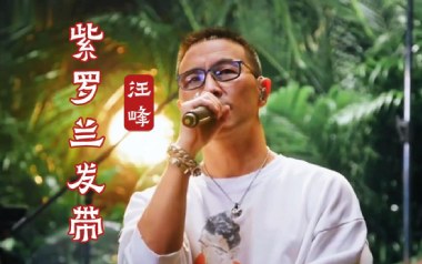 紫罗兰发带吉他谱_封面
