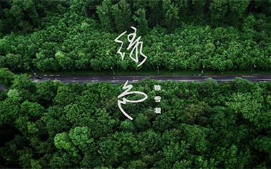 绿色吉他谱_封面