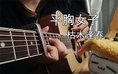平胸女子吉他谱_封面