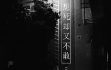 想死却又不敢吉他谱_封面