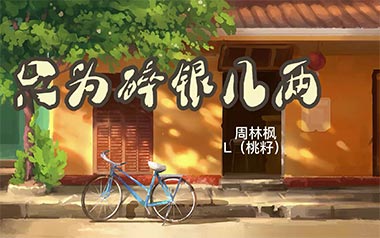 只为碎银几两吉他谱_封面
