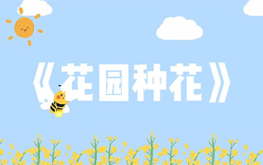 花园种花吉他谱_封面