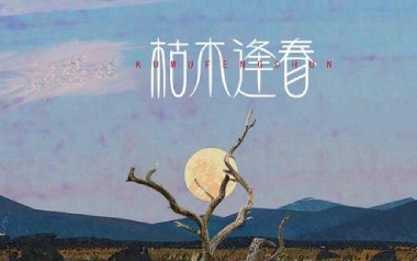 你说吉他谱_封面