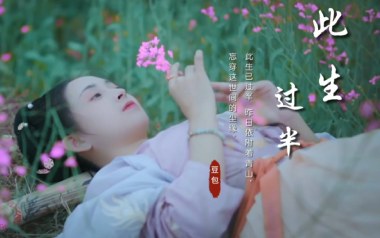 此生过半吉他谱_封面