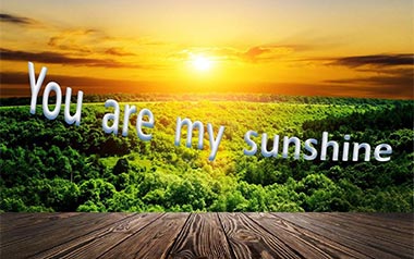 You Are My Sunshine吉他谱_封面