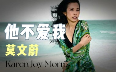 他不爱我吉他谱_封面