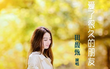 爱了很久的朋友吉他谱_封面
