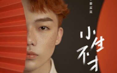 小生不才吉他谱_封面