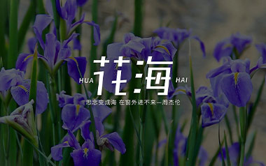 花海吉他谱_封面