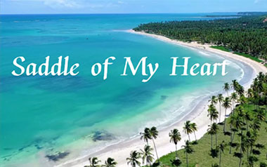 Saddle Of My Heart吉他谱_封面