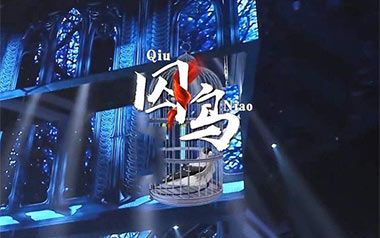 囚鸟吉他谱